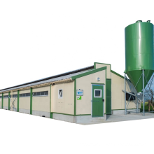 Automatic Controlled Prefabricated Farm Steel Materials Open Side Poultry House